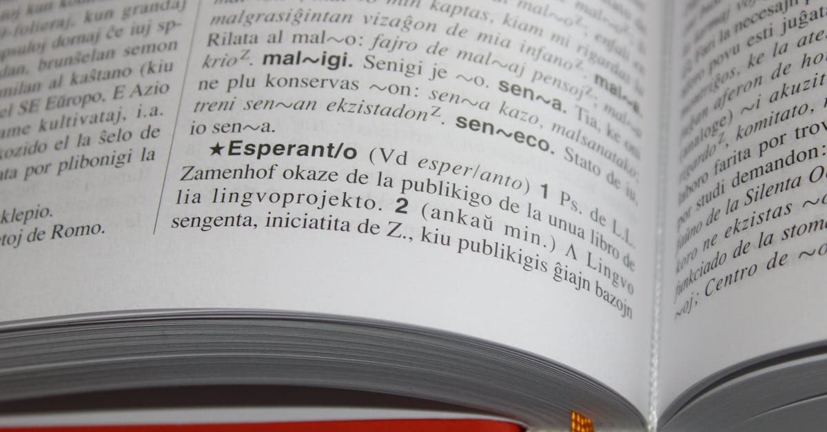 Translation for a Delaware LLC