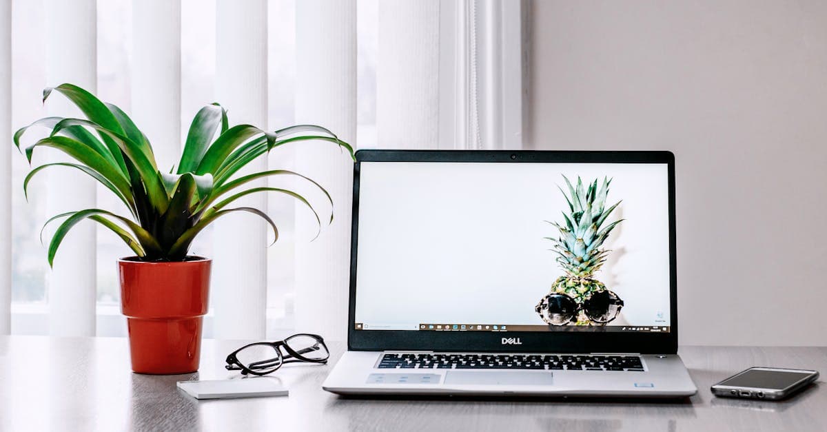 Gumroad Creator Sales platform setup